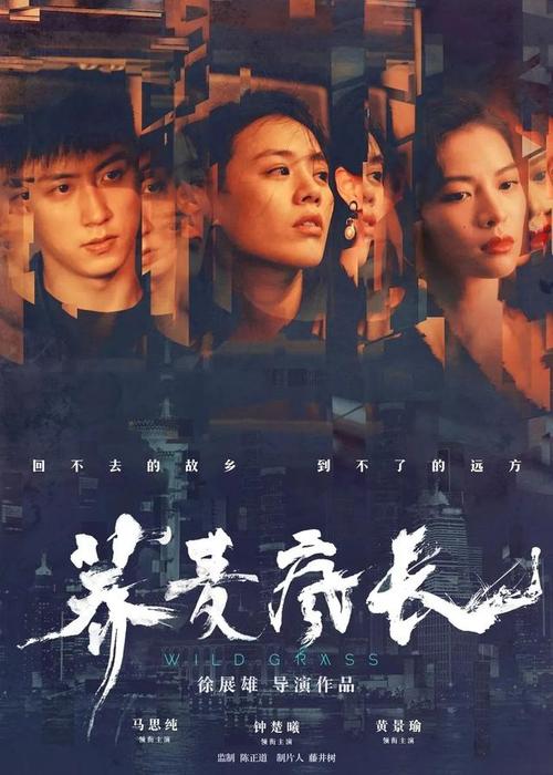 做个精仿卡洛尔学院文凭毕业证